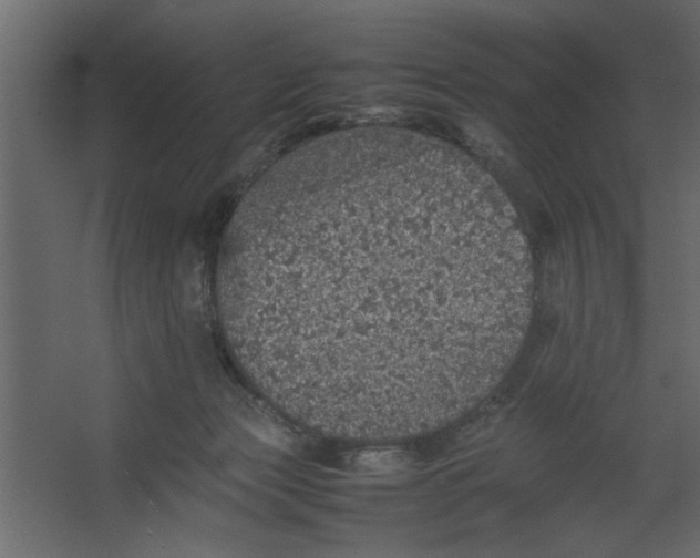 X0000067460173200604211550