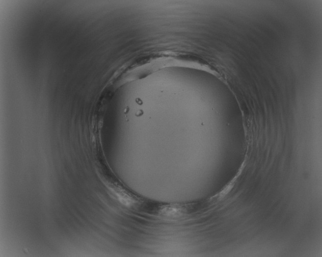 X0000067460174200604211550