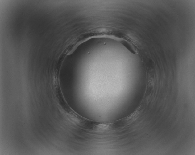 X0000067460176200604211550