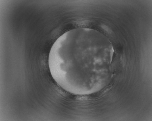 X0000067460181200604211550