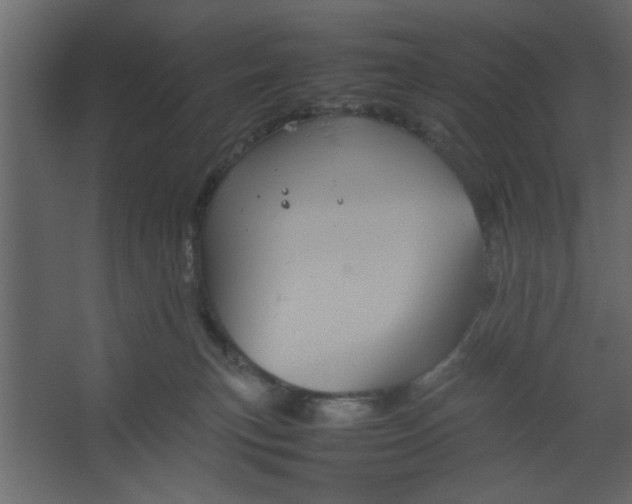 X0000067460183200604211550