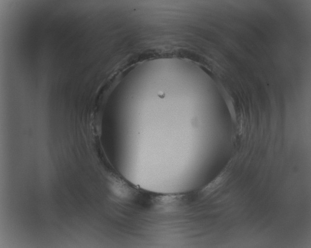 X0000067460184200604211550