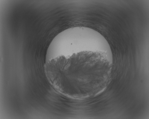 X0000067460185200604211550