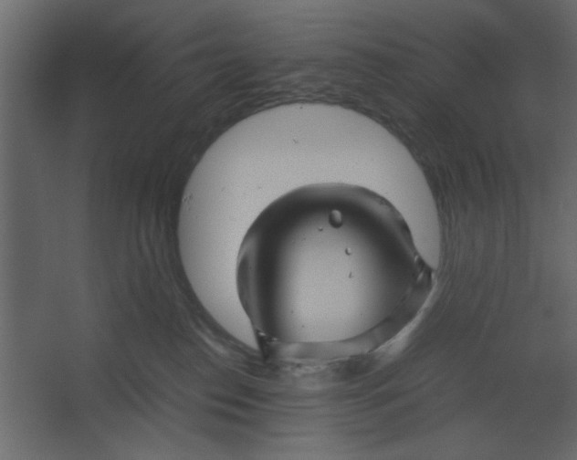 X0000067460186200604211550