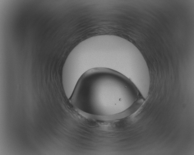 X0000067460187200604211550