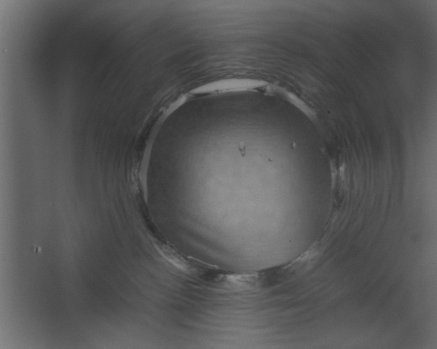 X0000067460188200604211550