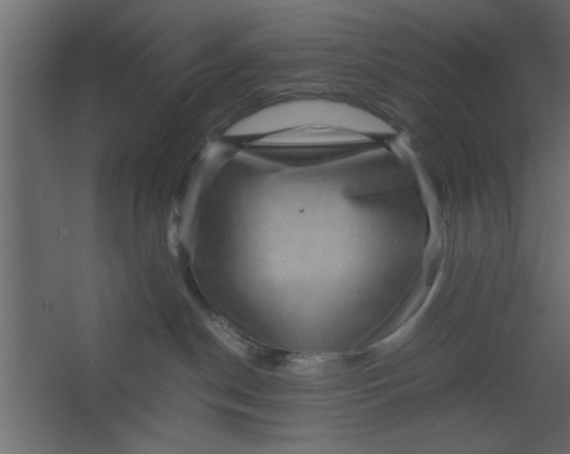 X0000067460190200604211550