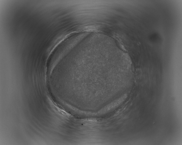 X0000067460194200604211550