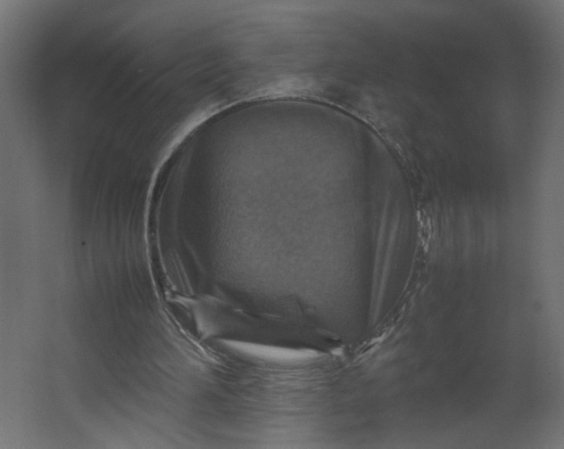 X0000067460196200604211550