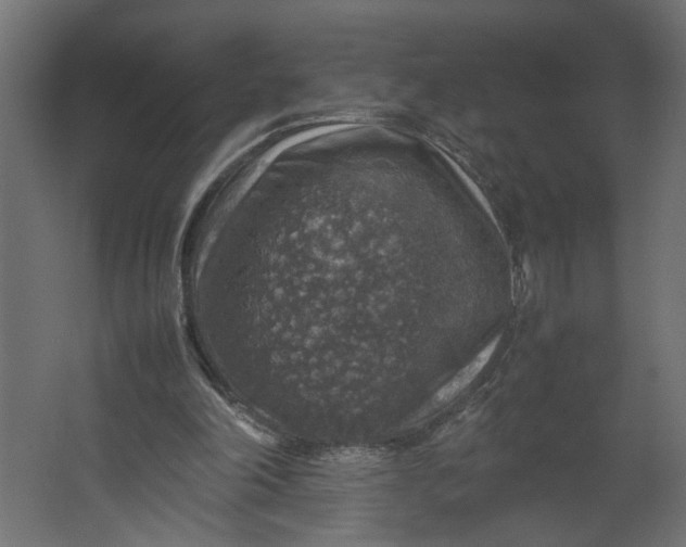 X0000067460198200604211550