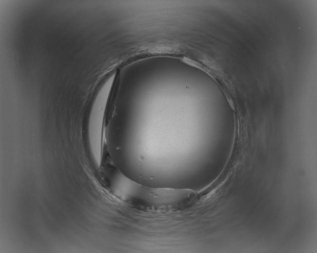 X0000067460201200604211550