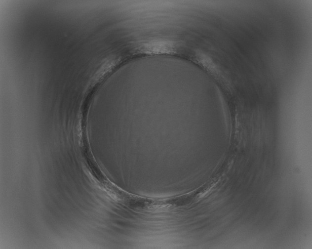 X0000067460202200604211550