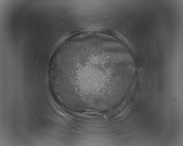 X0000067460203200604211549