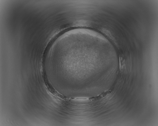 X0000067460204200604211549