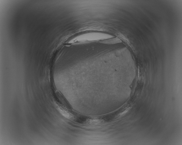 X0000067460205200604211549