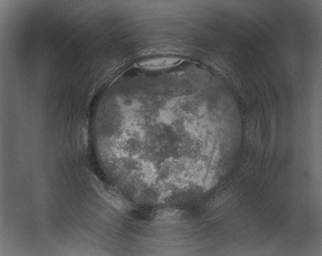 X0000067460206200604211549