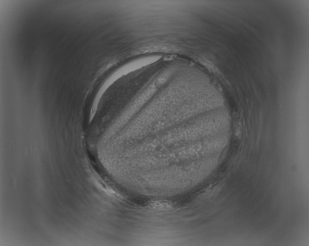 X0000067460207200604211549