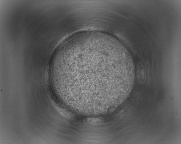 X0000067460208200604211549