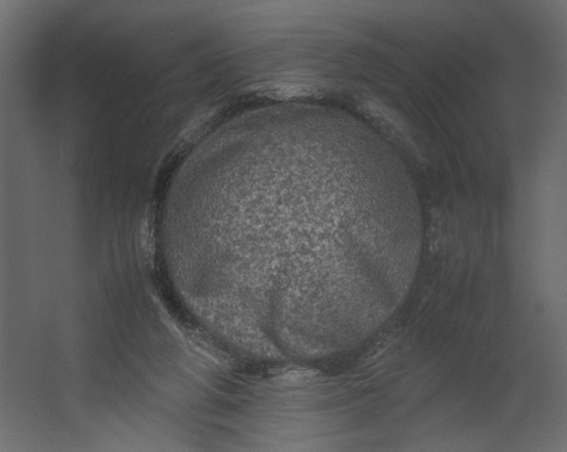 X0000067460210200604211549