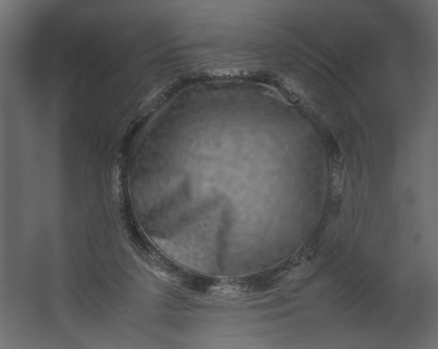 X0000067460211200604211549