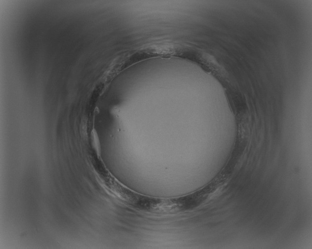 X0000067460213200604211549