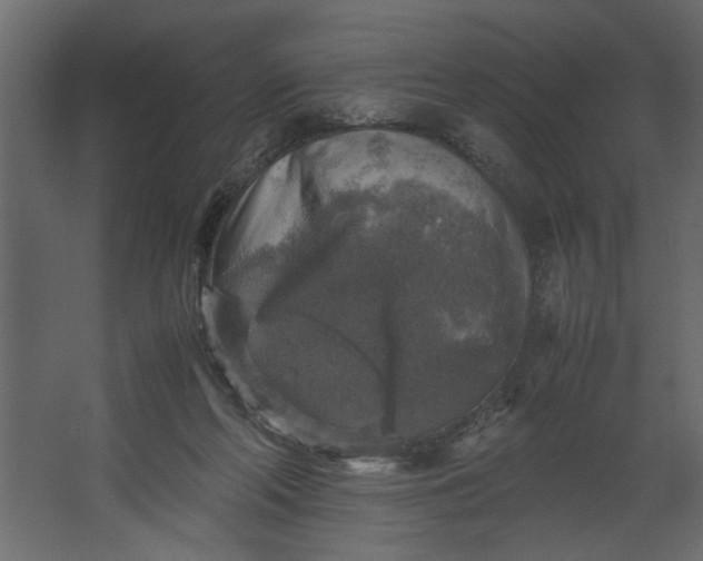 X0000067460214200604211549