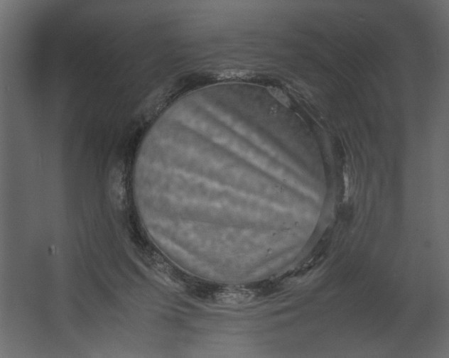 X0000067460215200604211549