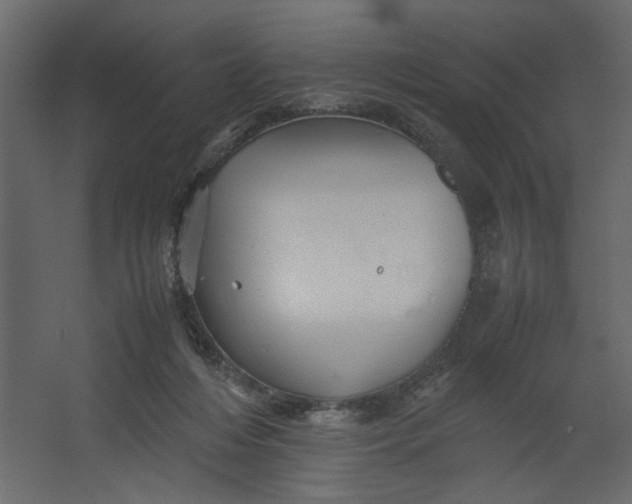 X0000067460216200604211549