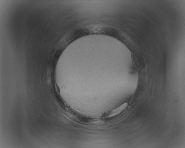 X0000067460217200604211549