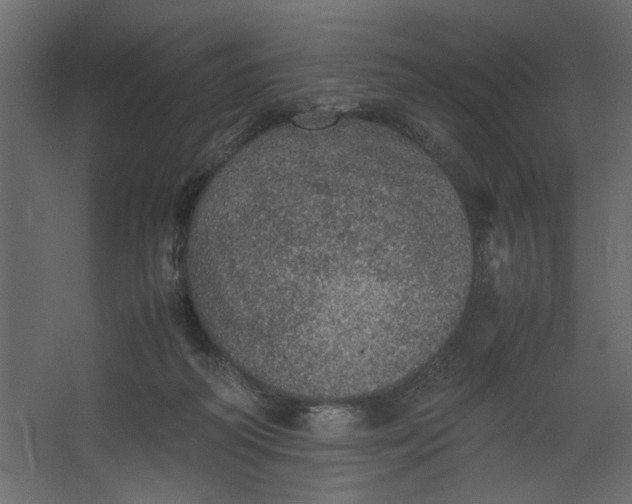 X0000067460218200604211549