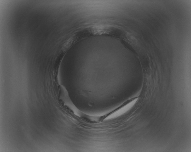 X0000067460219200604211549