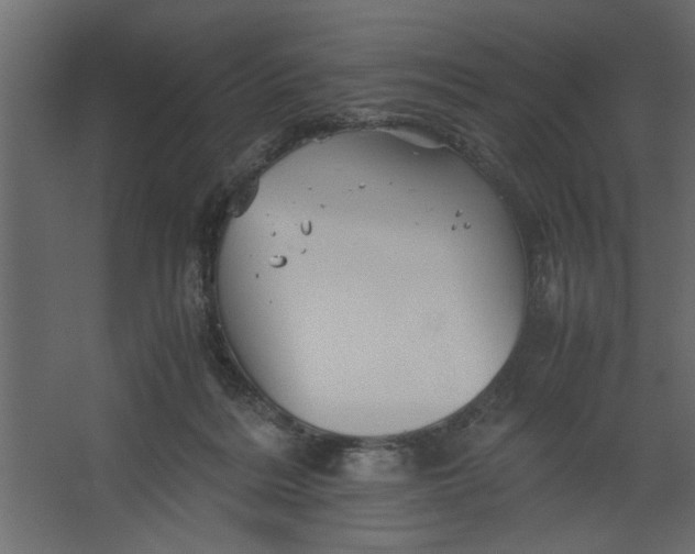 X0000067460220200604211549