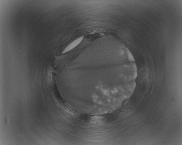 X0000067460222200604211549