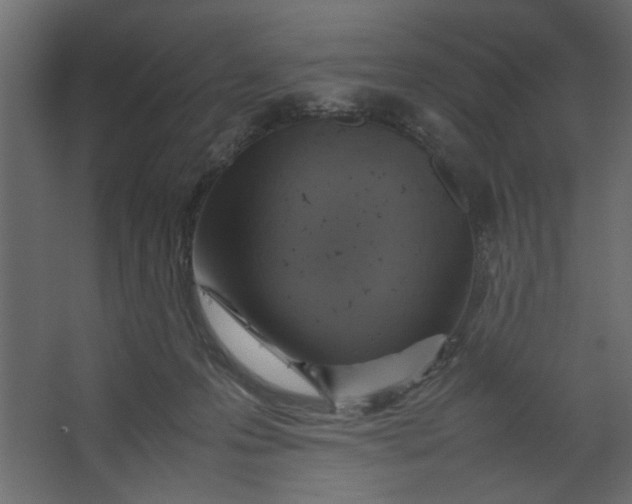 X0000067460223200604211549