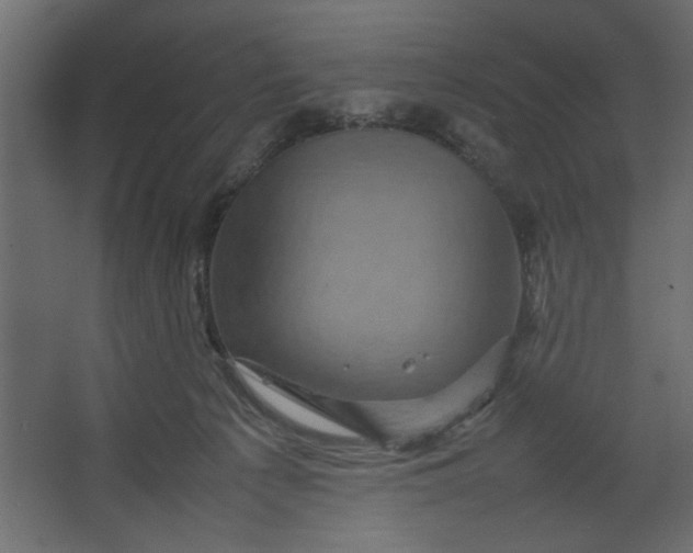 X0000067460225200604211549