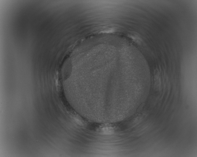 X0000067460228200604211549