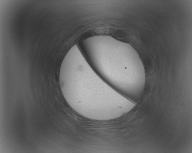 X0000067460233200604211549