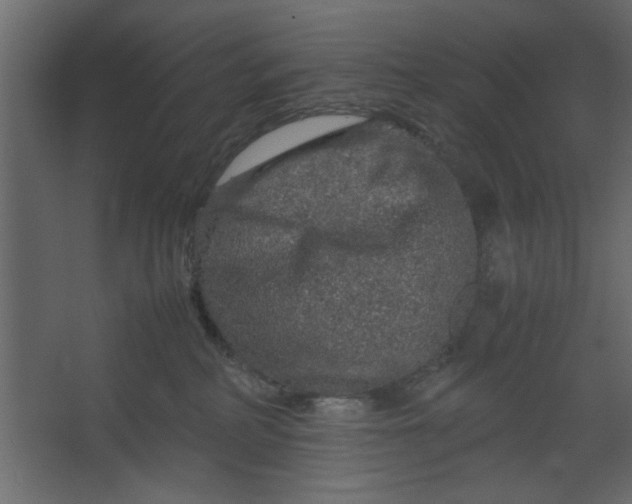 X0000067460234200604211549