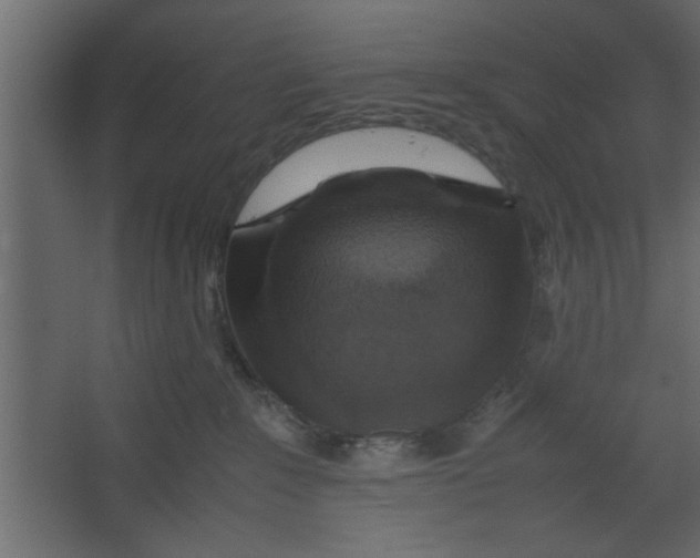 X0000067460235200604211549