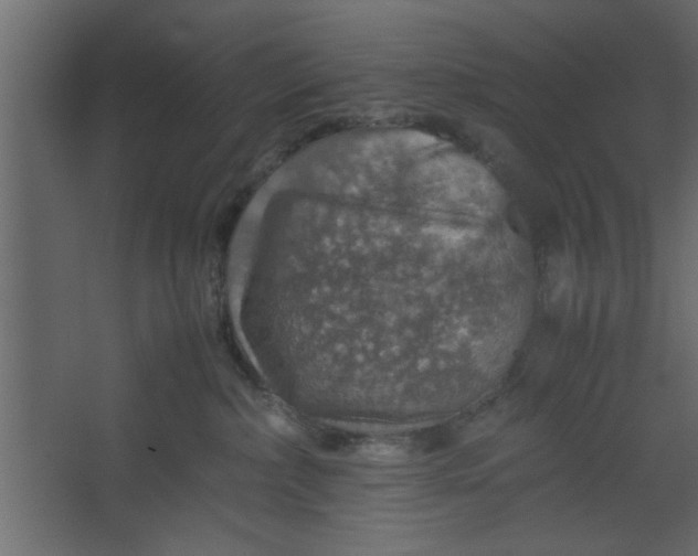 X0000067460236200604211549