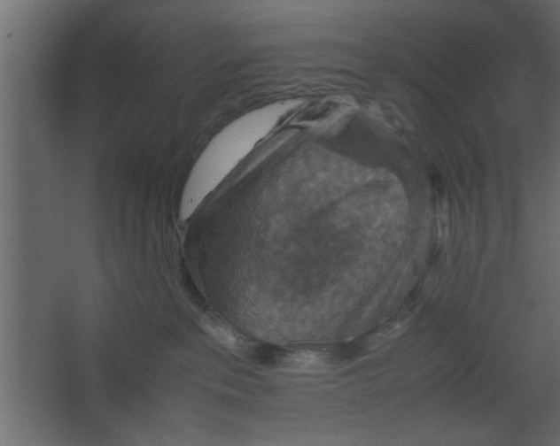 X0000067460237200604211549