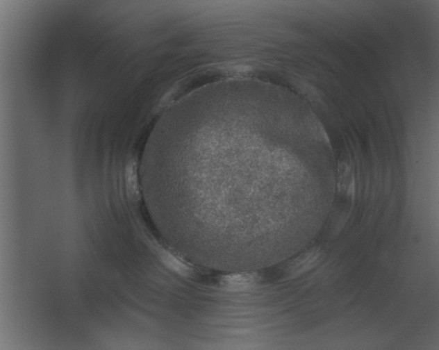 X0000067460238200604211549