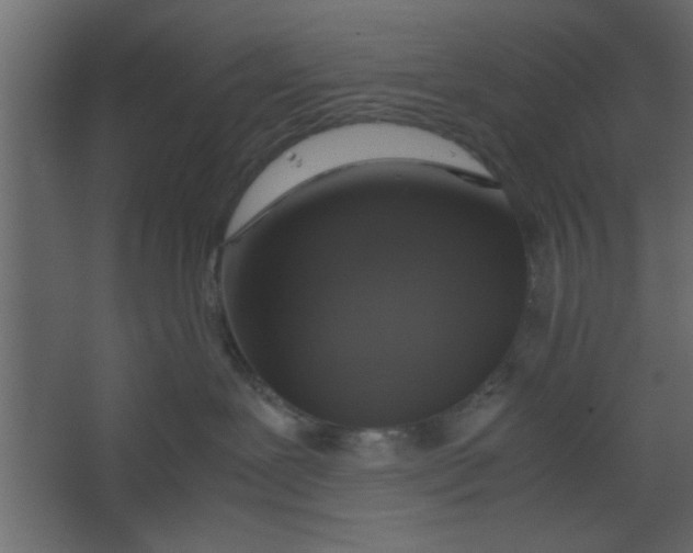 X0000067460239200604211549