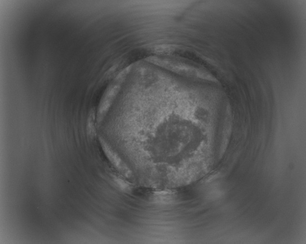 X0000067460240200604211549