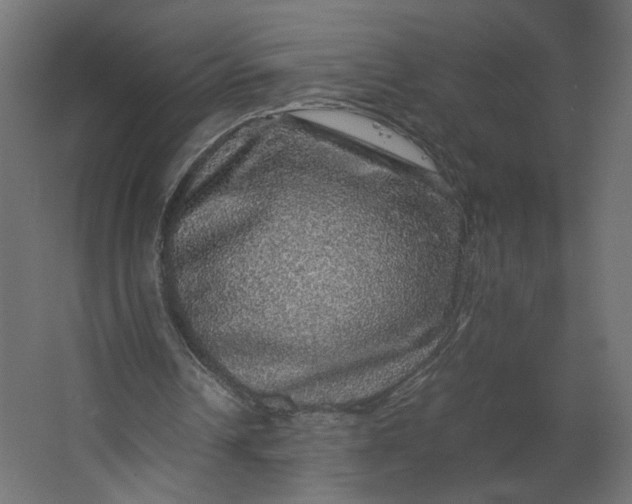 X0000067460242200604211548