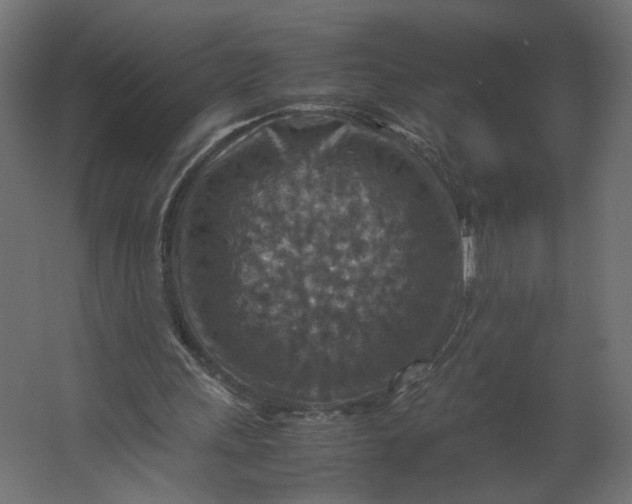 X0000067460243200604211548