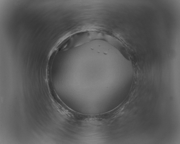 X0000067460244200604211548