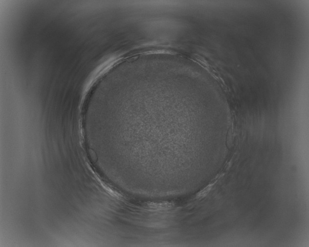 X0000067460245200604211548