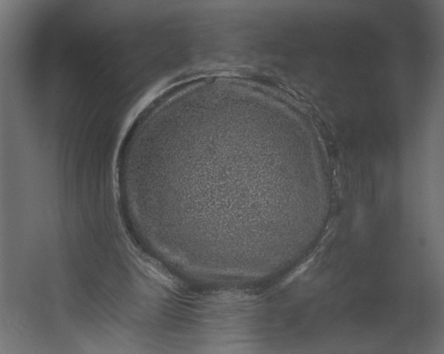 X0000067460246200604211548