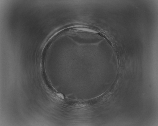 X0000067460247200604211548